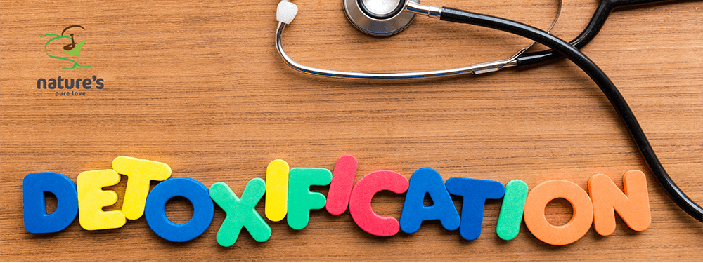 Detoxification for Enhanced Wellness: Your Path to Ultimate Vitality