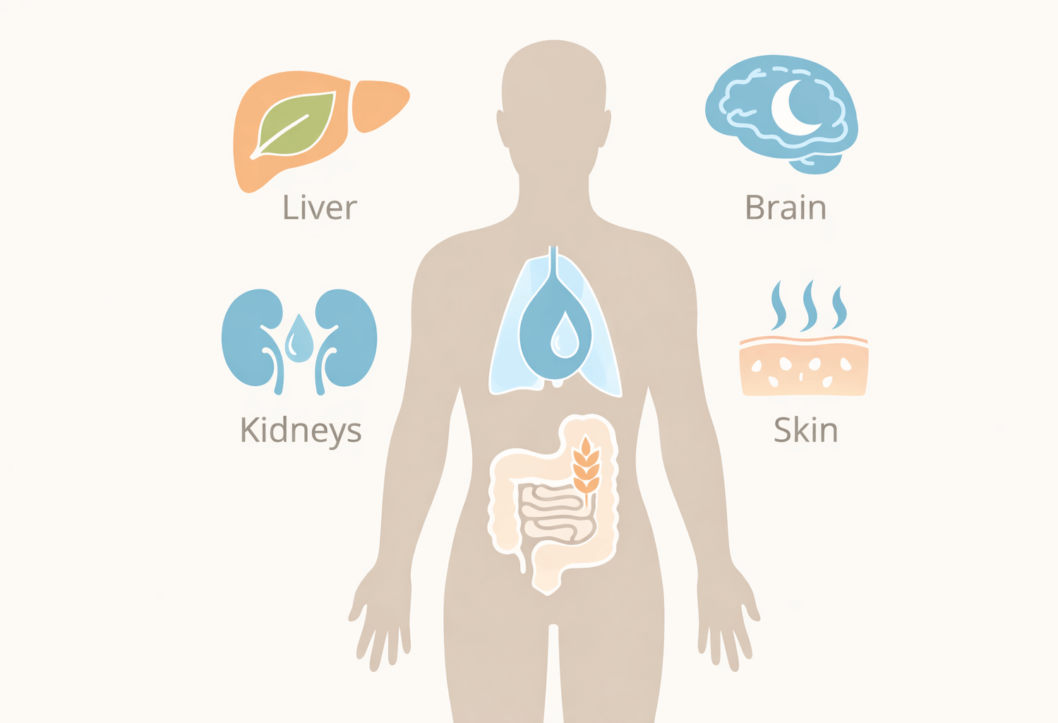 What Is a Gentle Detox Programme?