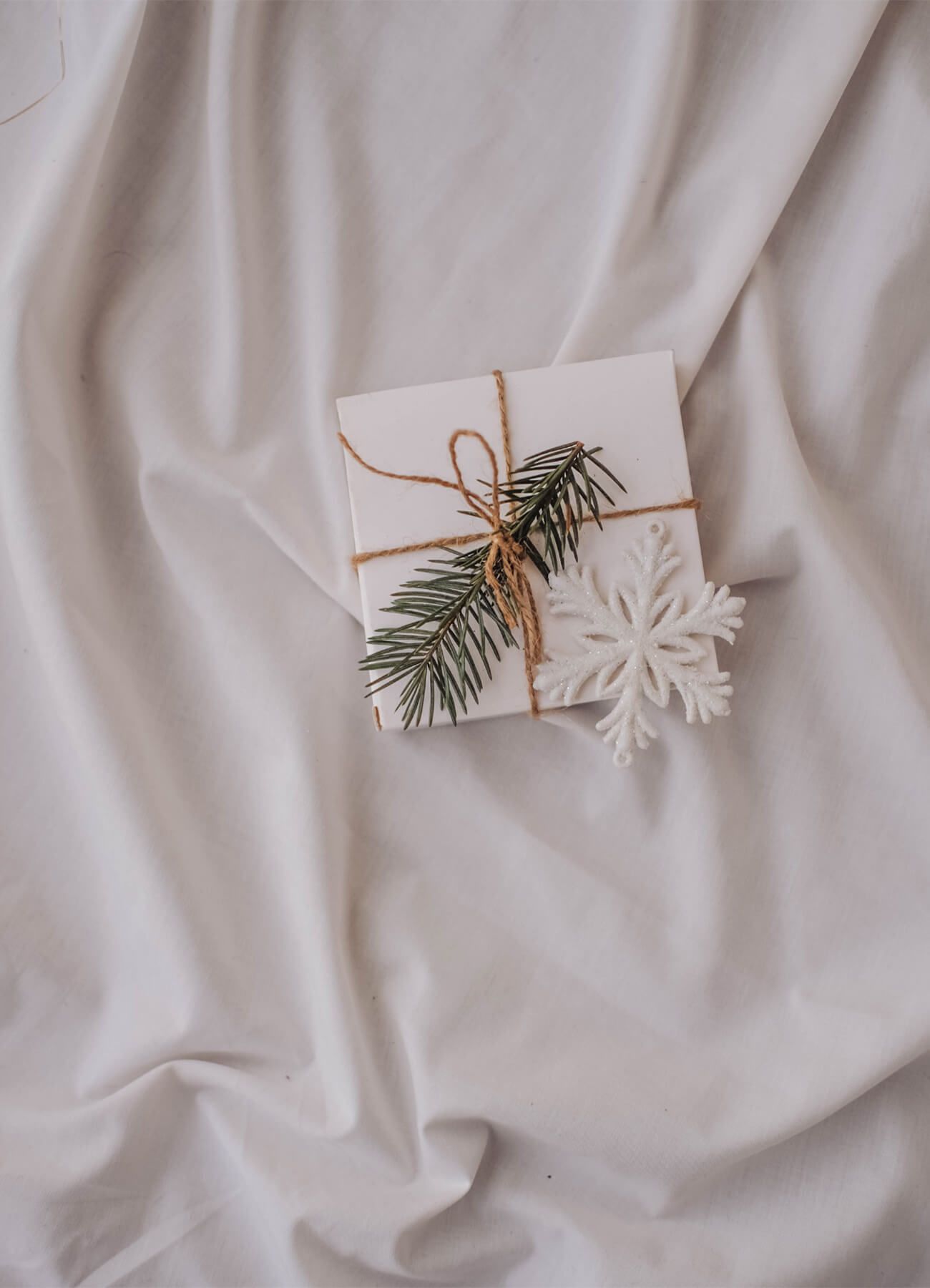 Wellness Christmas Gift