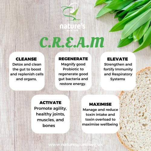 C.R.E.A.M. wellness plan diagram illustrating the stages of cleanse, regenerate, elevate, activate, and maximise.