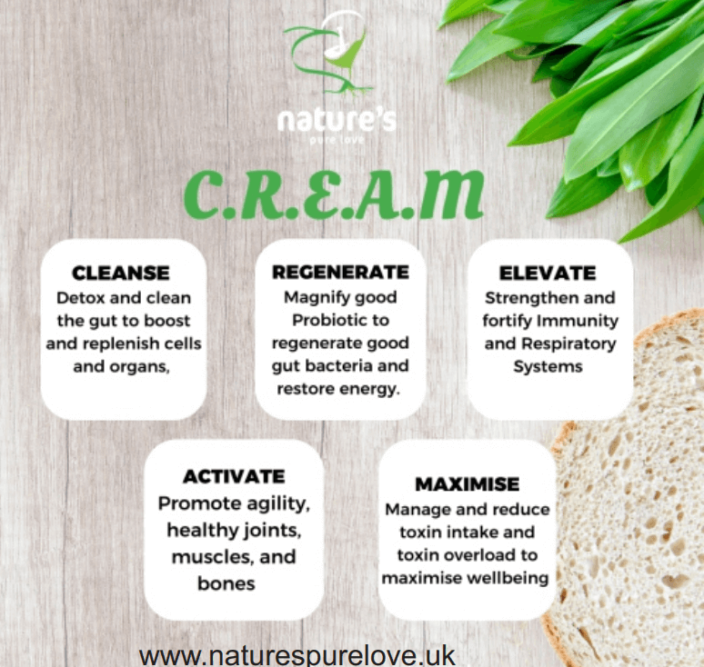 A poster explaining the C.R.E.A.M Plan