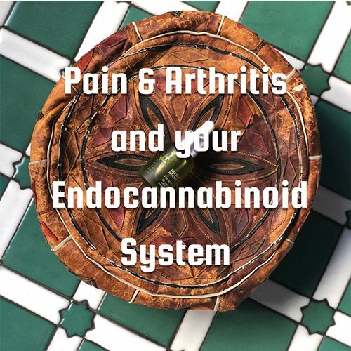 A poster with Pain & Arthritis and endocannabinoid system written on it.