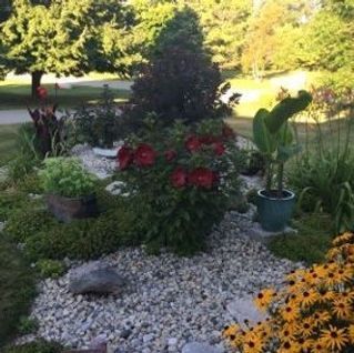 A garden filled with lots of flowers and plants.