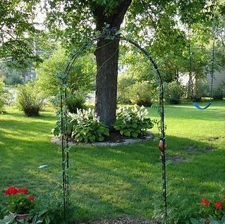 A garden with a tree and a metal arch in the middle