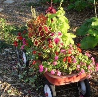 A red wagon filled with flowers is sitting on the ground