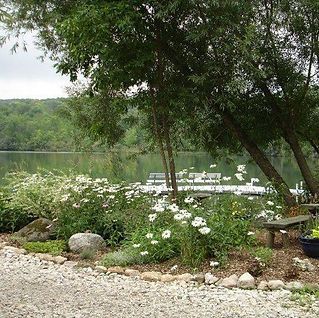A gravel road leading to a lake surrounded by trees and flowers