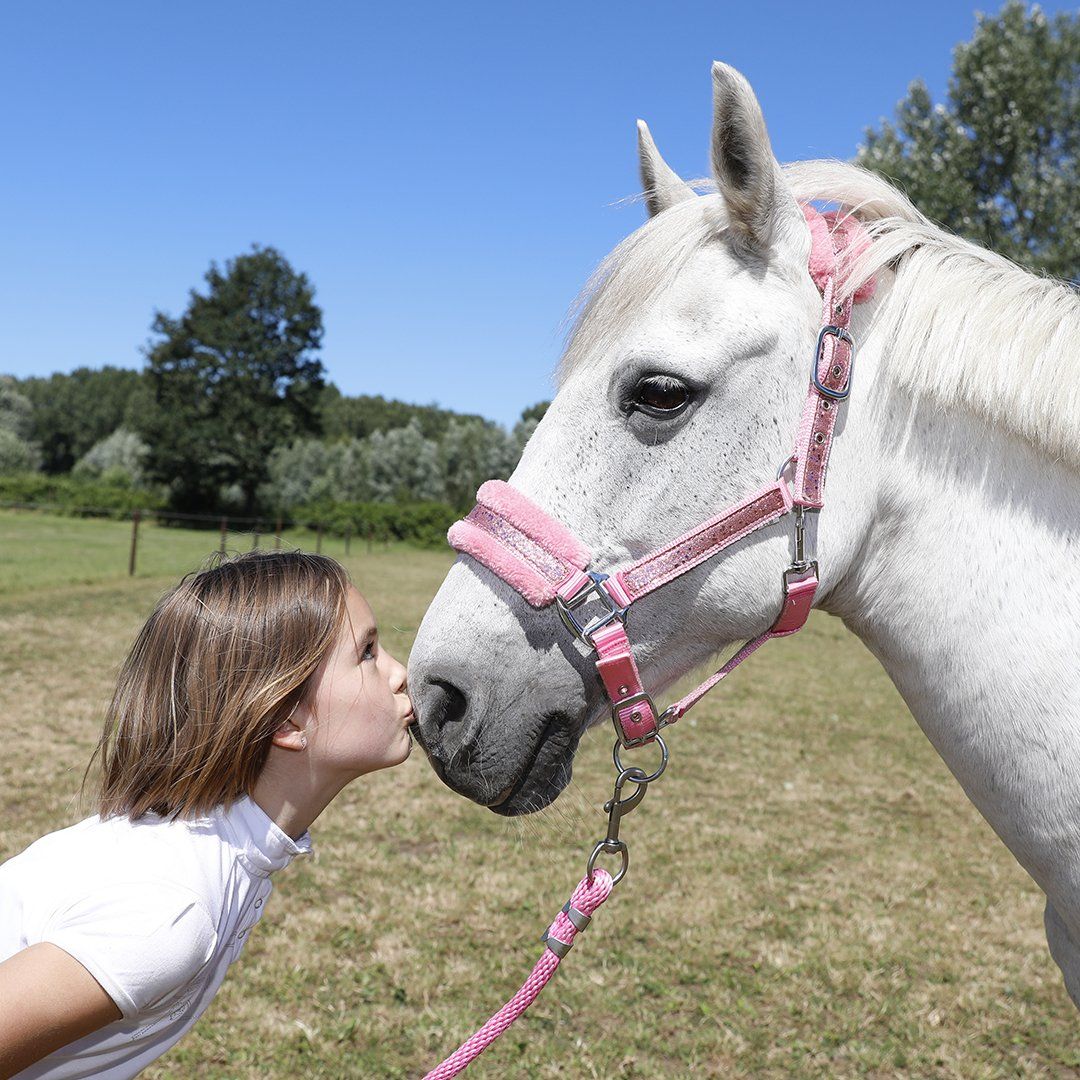 Fotoshoot pony en ruiter manege EEPM 2018