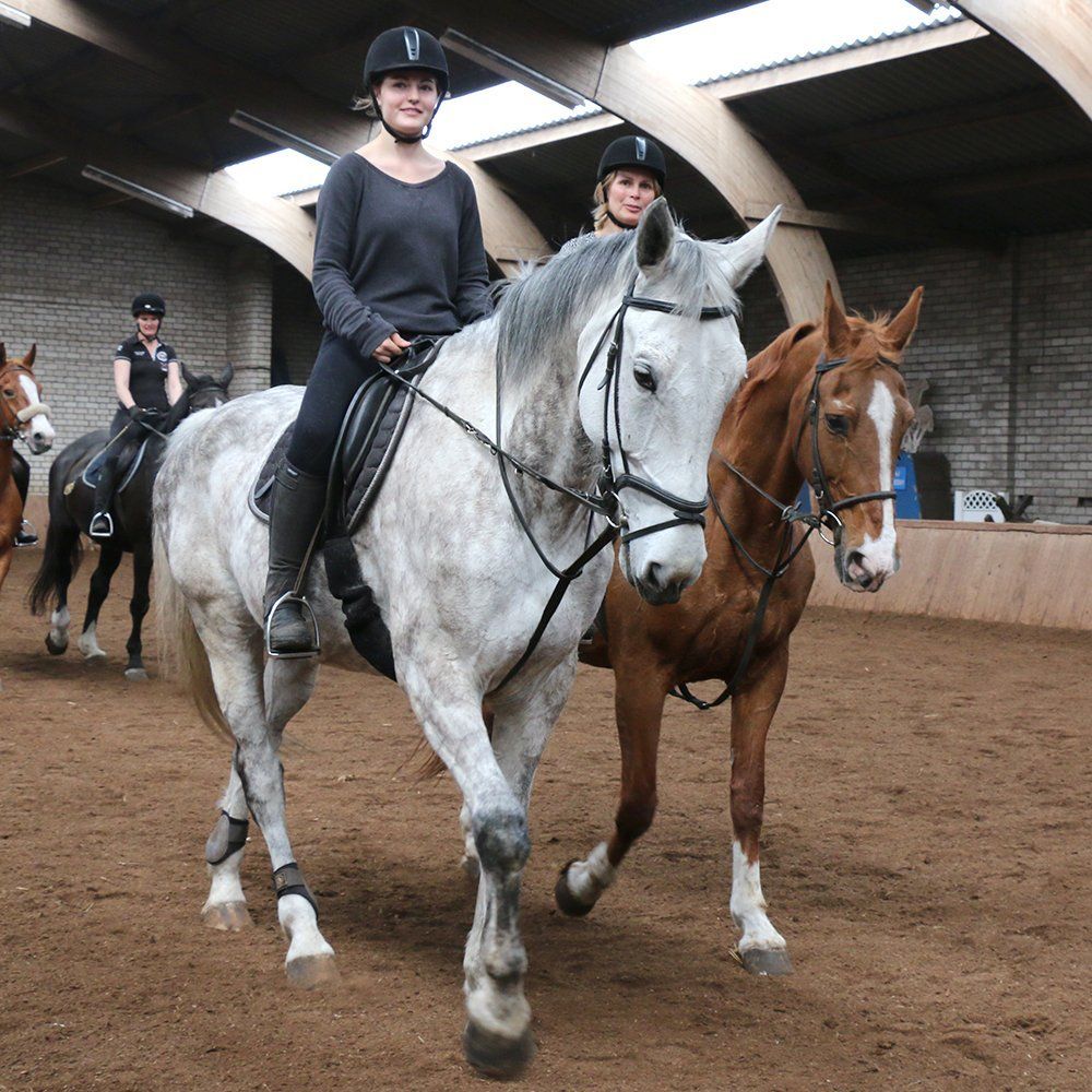 Ponyrijden en paardrijden voor beginners