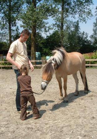 Spelenderwijs leren omgaan met pony's