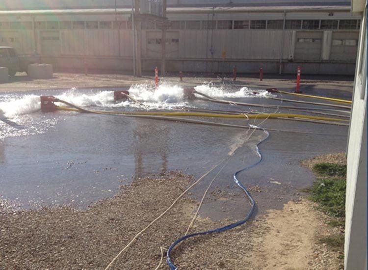 A hose is being used to spray water on the ground