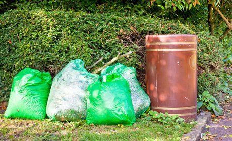 garden rubbish removal