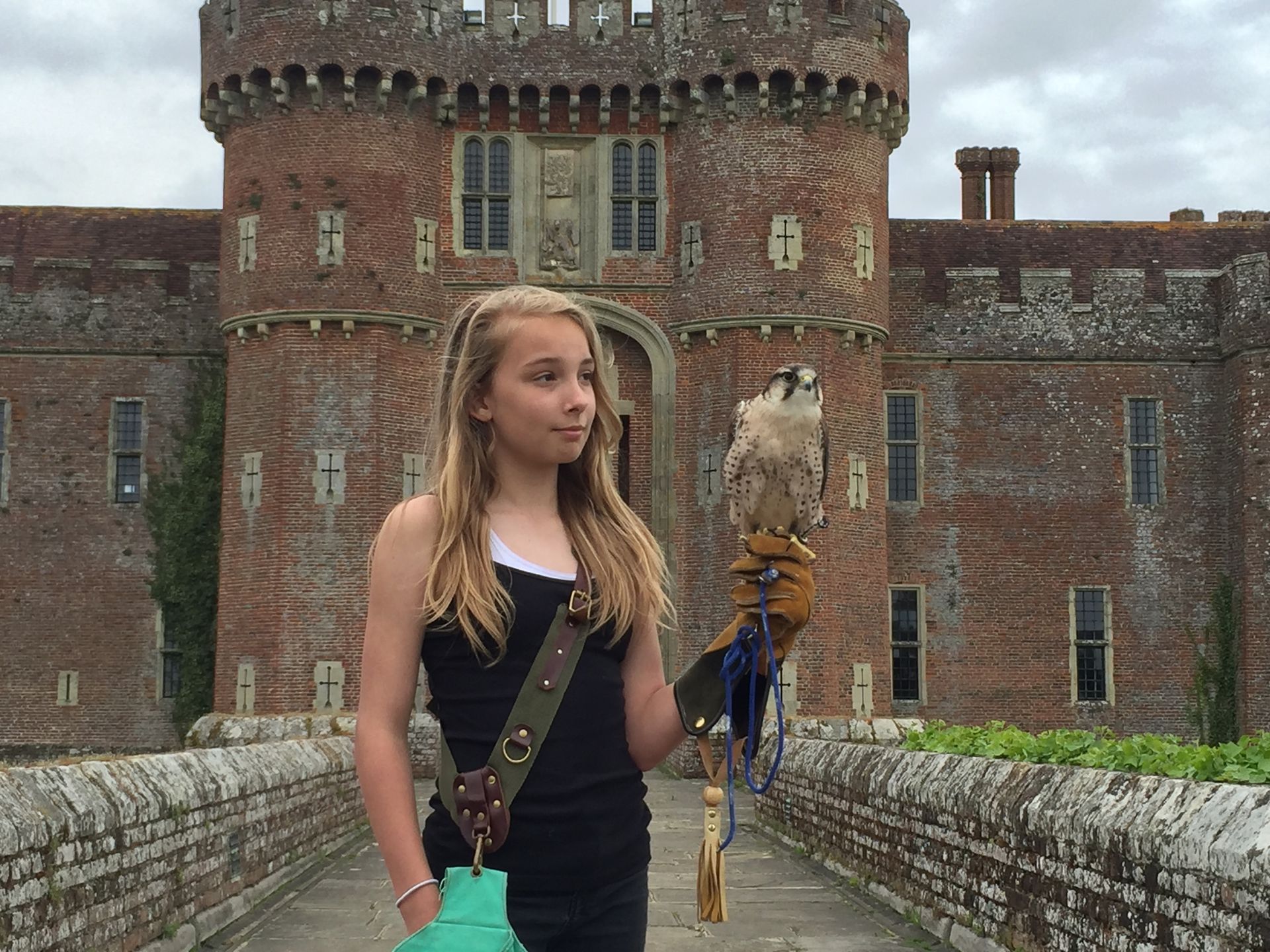 A girl is holding a bird on her arm in front of a castle.