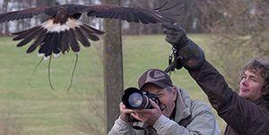 A man is taking a picture of a bird with a camera.