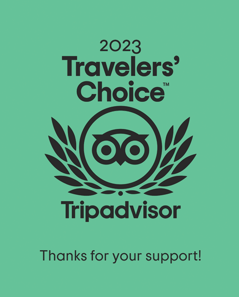 A travelers choice tripadvisor logo on a green background