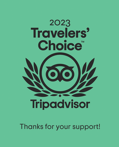 A travelers choice tripadvisor logo on a green background