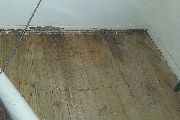 hynds pest and weed control termites