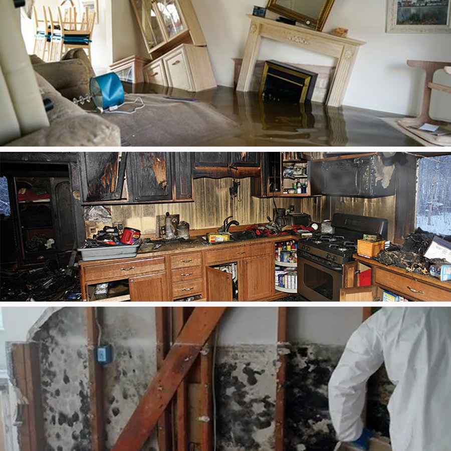 water damage, fire and smoke damage, mold damage