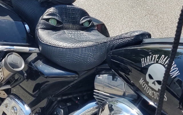 custom motorcycle seats