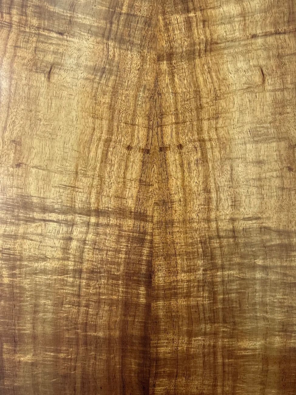 A close up of a piece of wood showing the grain and texture.
