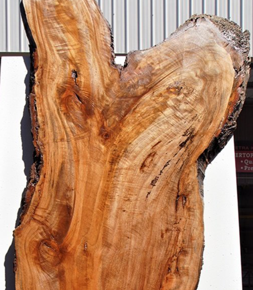 Wood Slabs