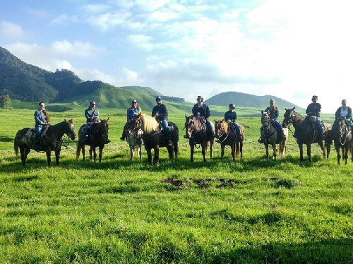 Employees on horseback