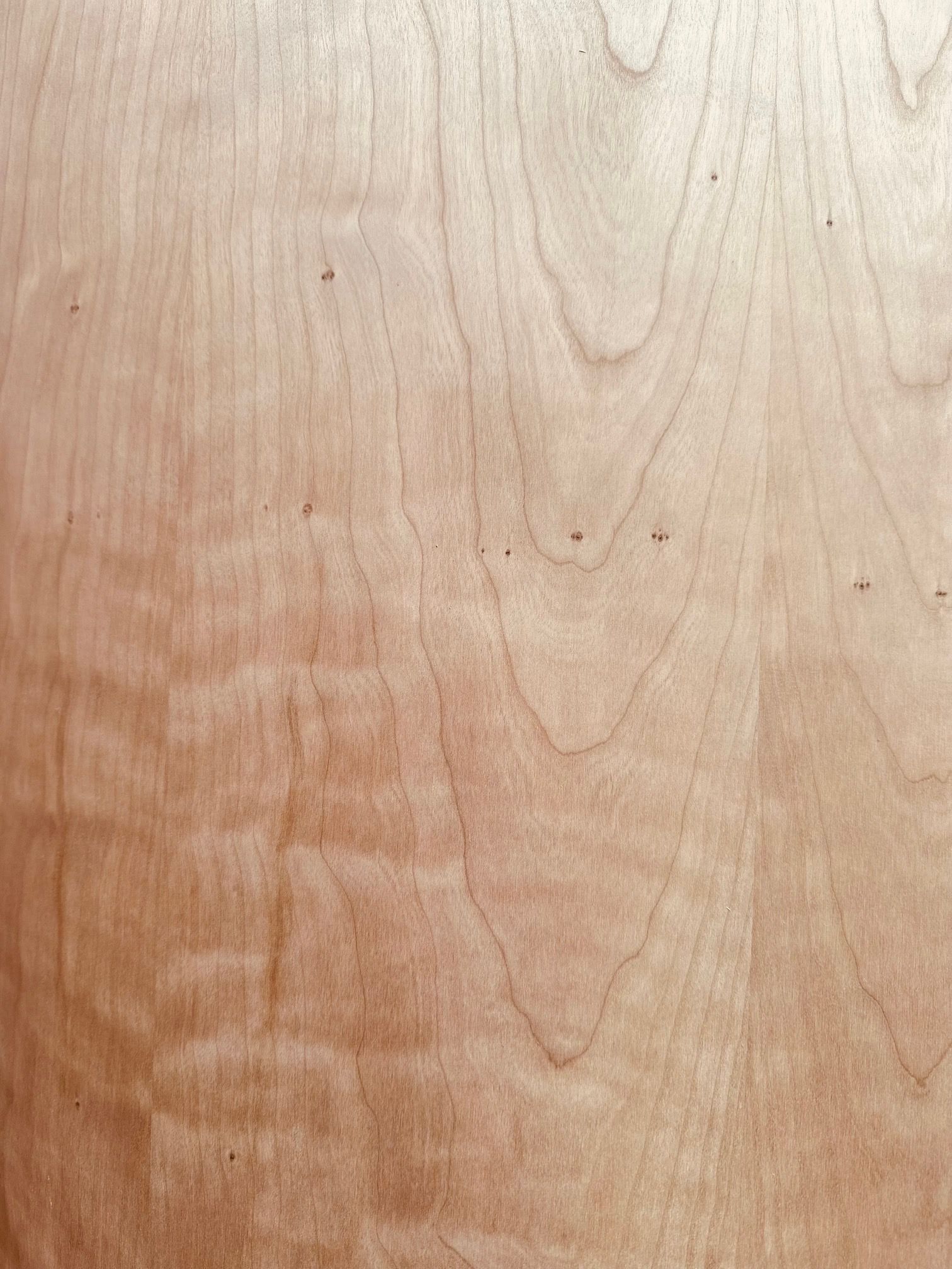 A close up of a piece of wood showing the grain and texture.