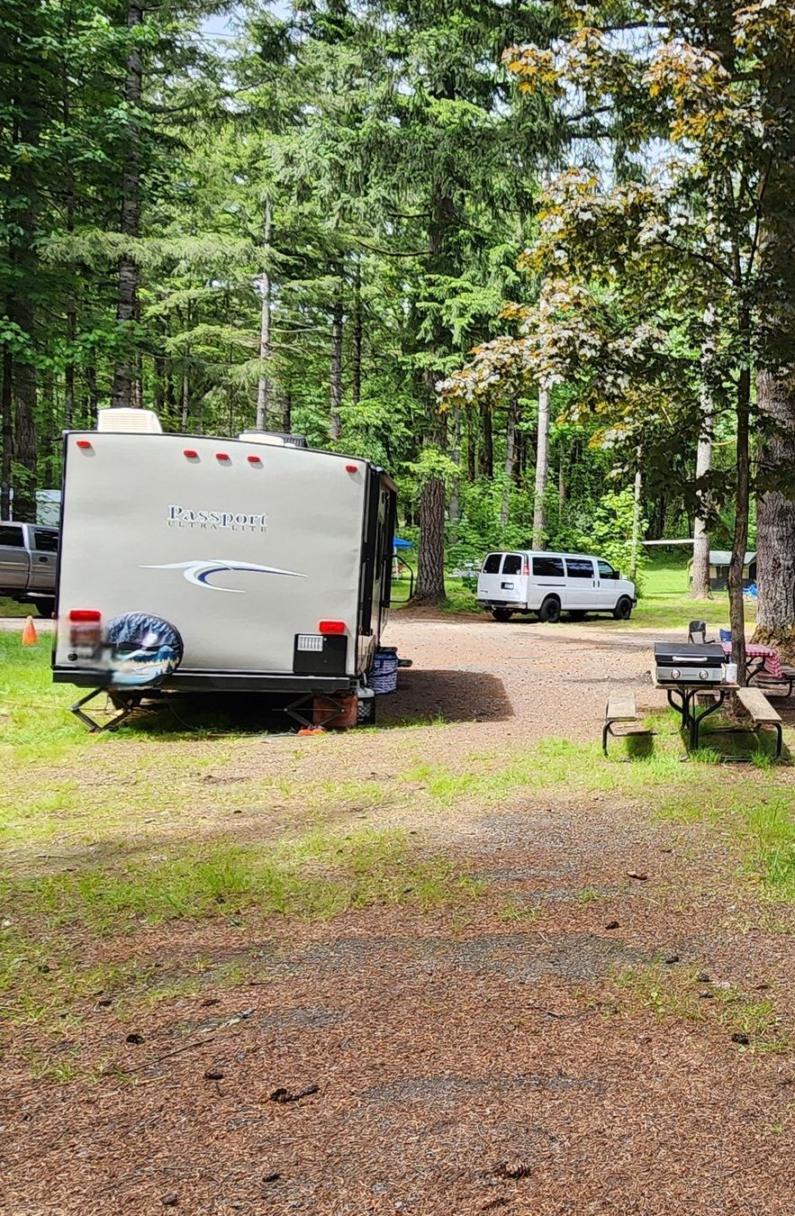 Wooded campsite with a white RV, parked van, and picnic tables under tall trees