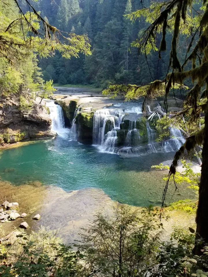 Forest waterfall cascading into a turquoise pool, framed by trees and mossy rocks.