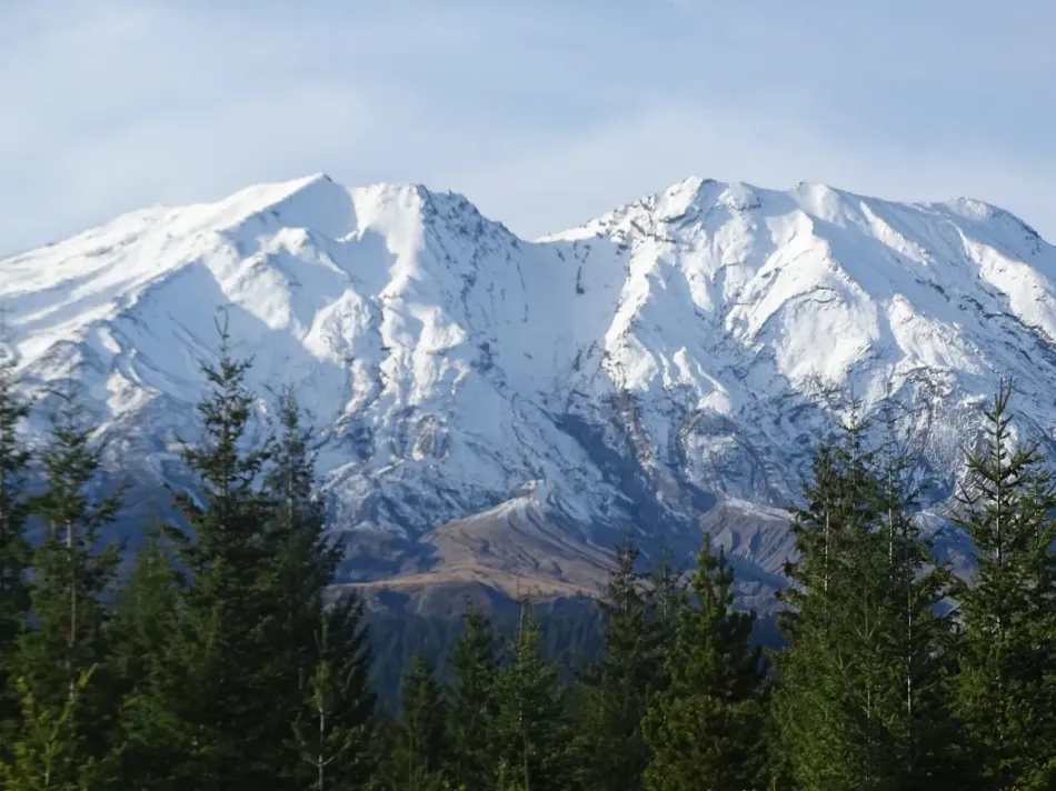 Snow-covered mountain peaks above evergreen trees under a clear blue sky