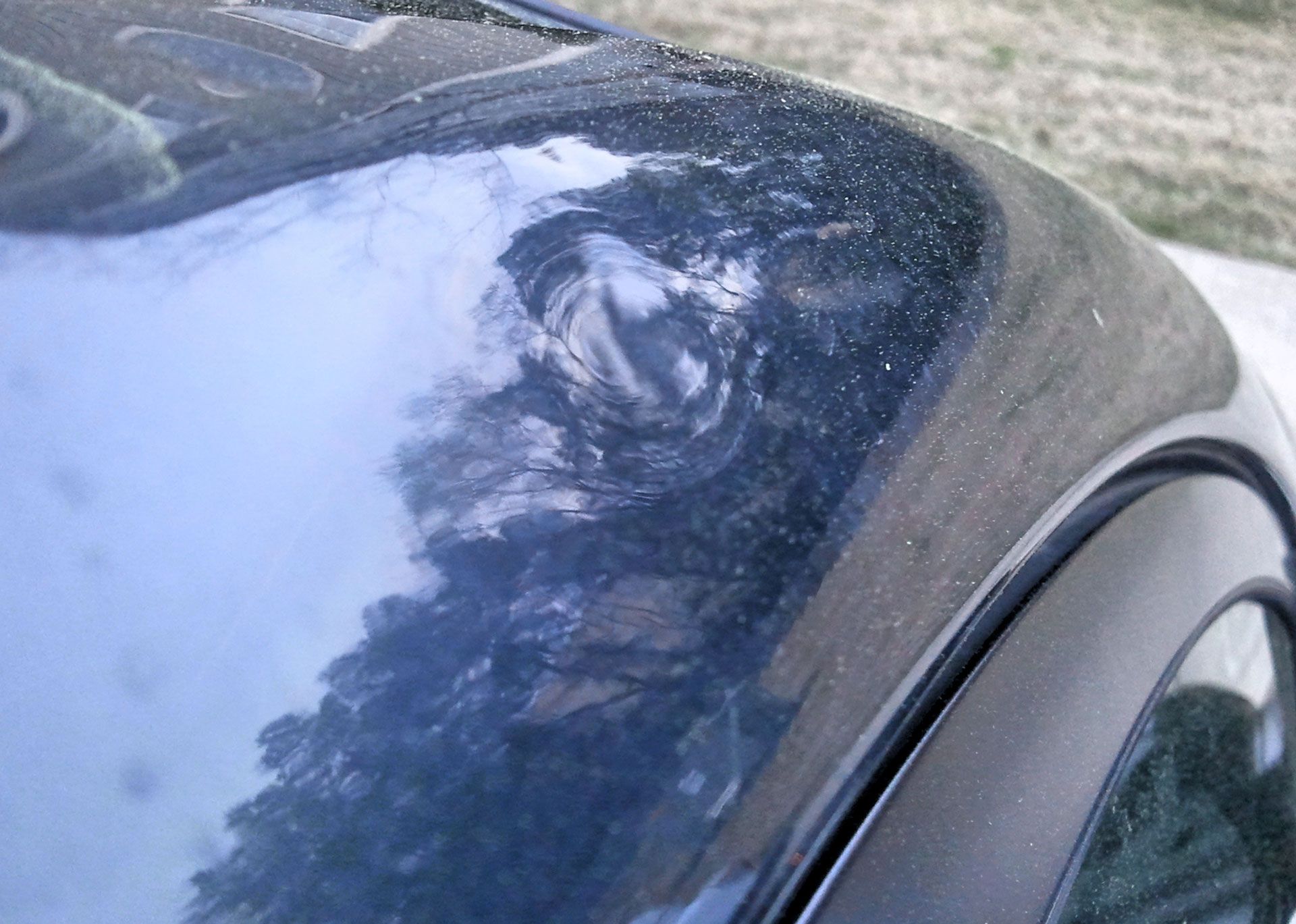 A close up of the hood of a car with a reflection of trees in the windshield.