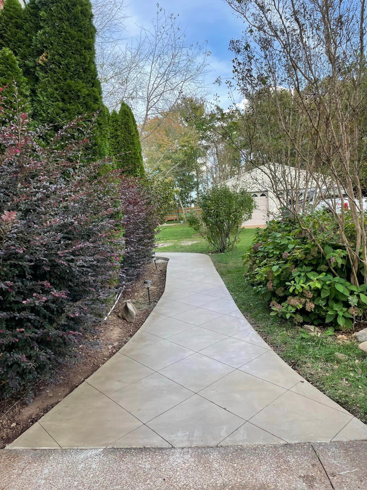 A concrete walkway leading to a house surrounded by trees and bushes.