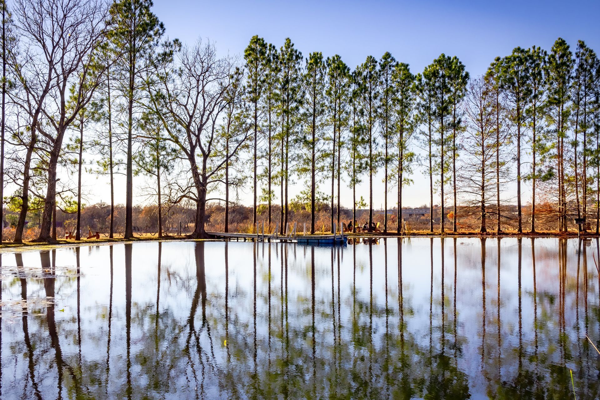 Trees lining a calm lake, reflections mirroring the trees and sky on the water.