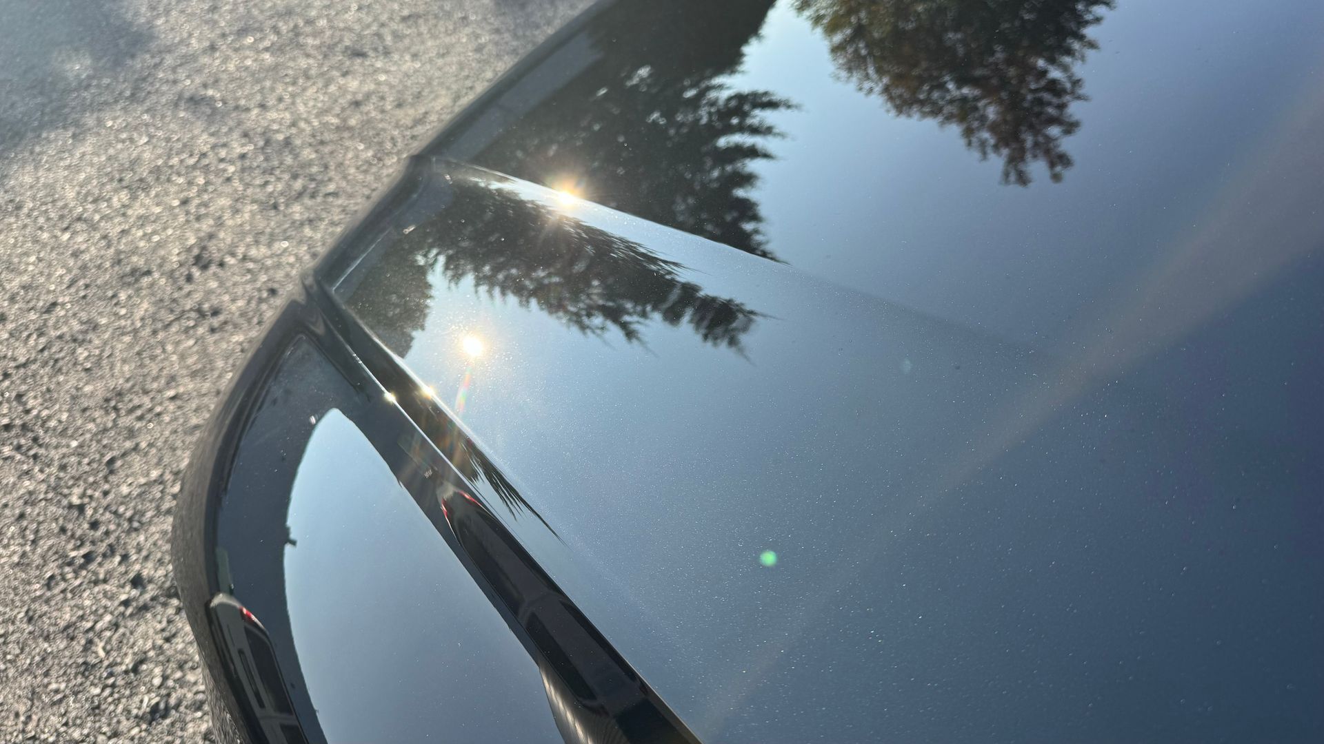 Capot de voiture noir brillant reflétant le soleil et les arbres.