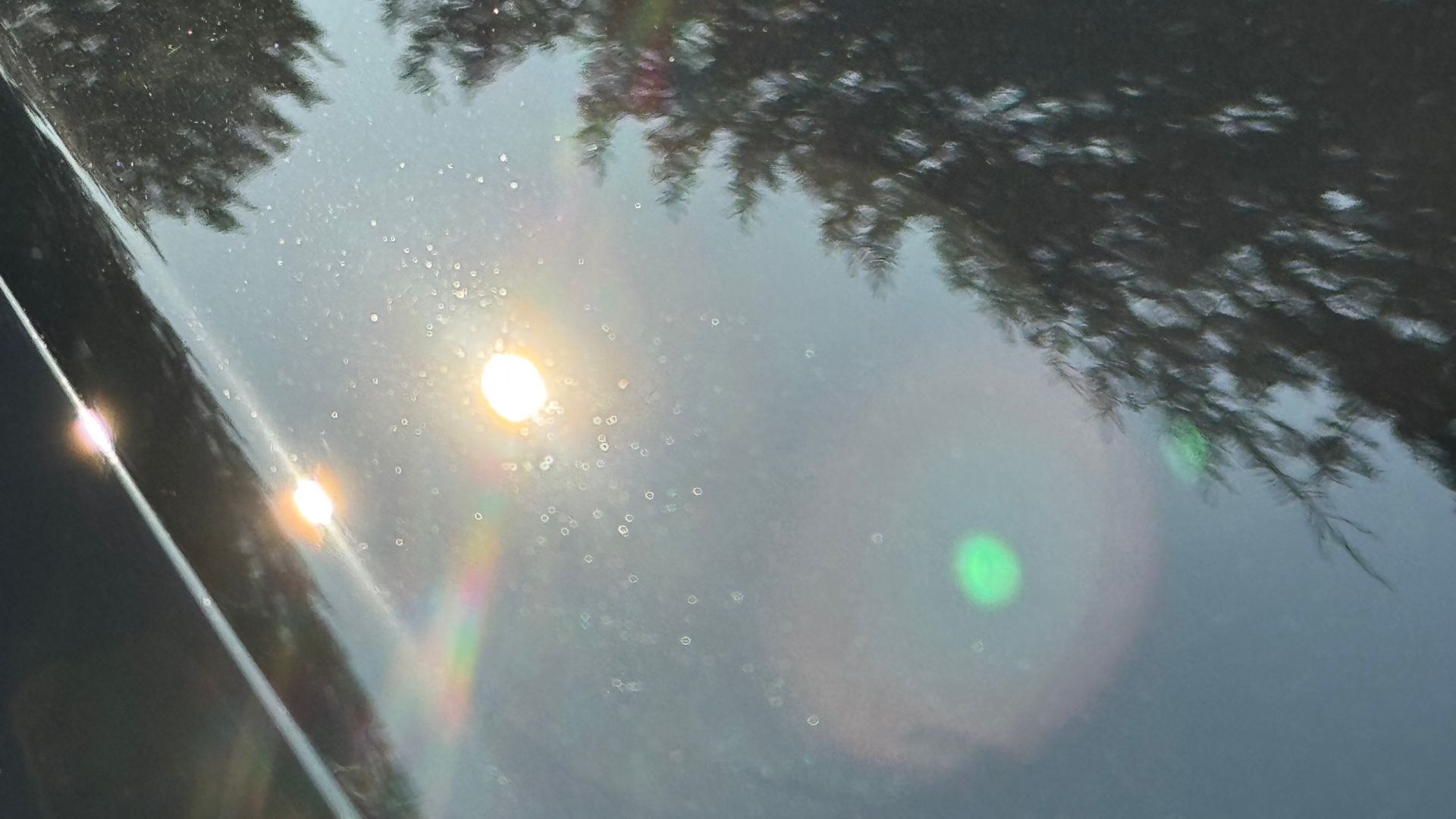 Le soleil se reflète sur le capot d'une voiture ; des arbres en arrière-plan avec des reflets lumineux et des gouttes d'eau.