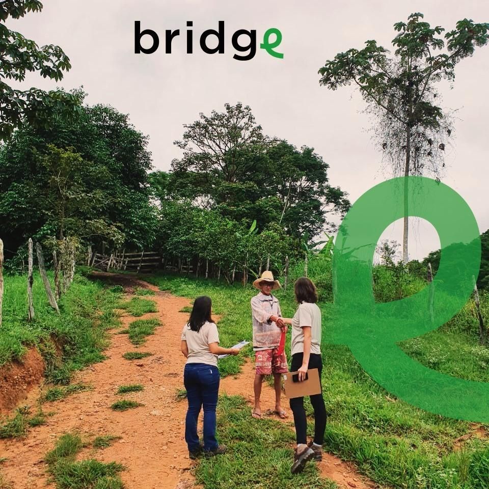 equipe bridge em área rural