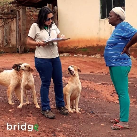 dois cachorros, funcionária bridge e pessoa da comunidade