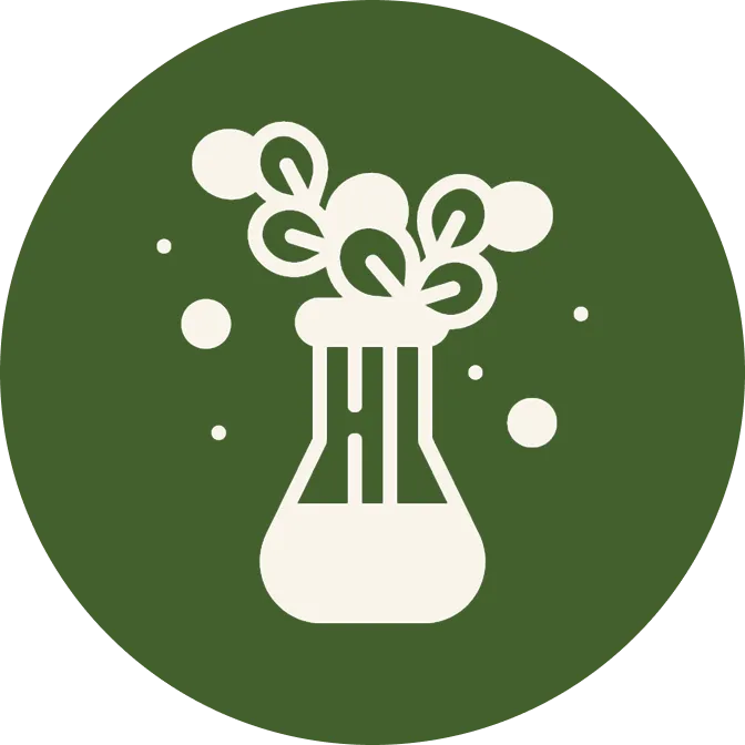 icone experimento, representando valores Bridge, no circulo verde