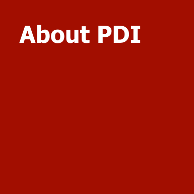 About PDI