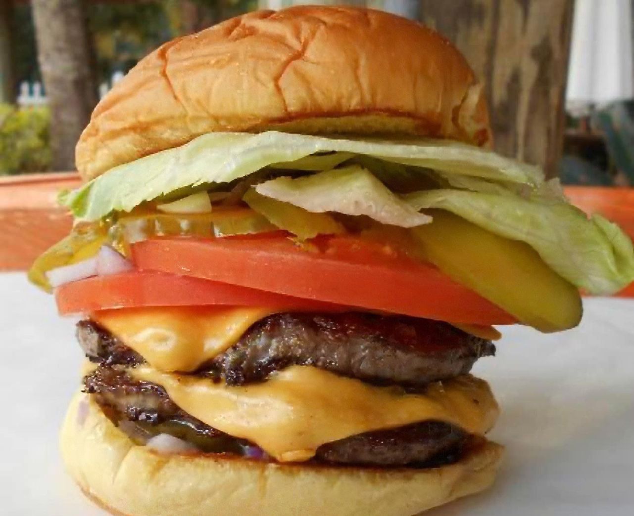 hot diggity dog hamburger