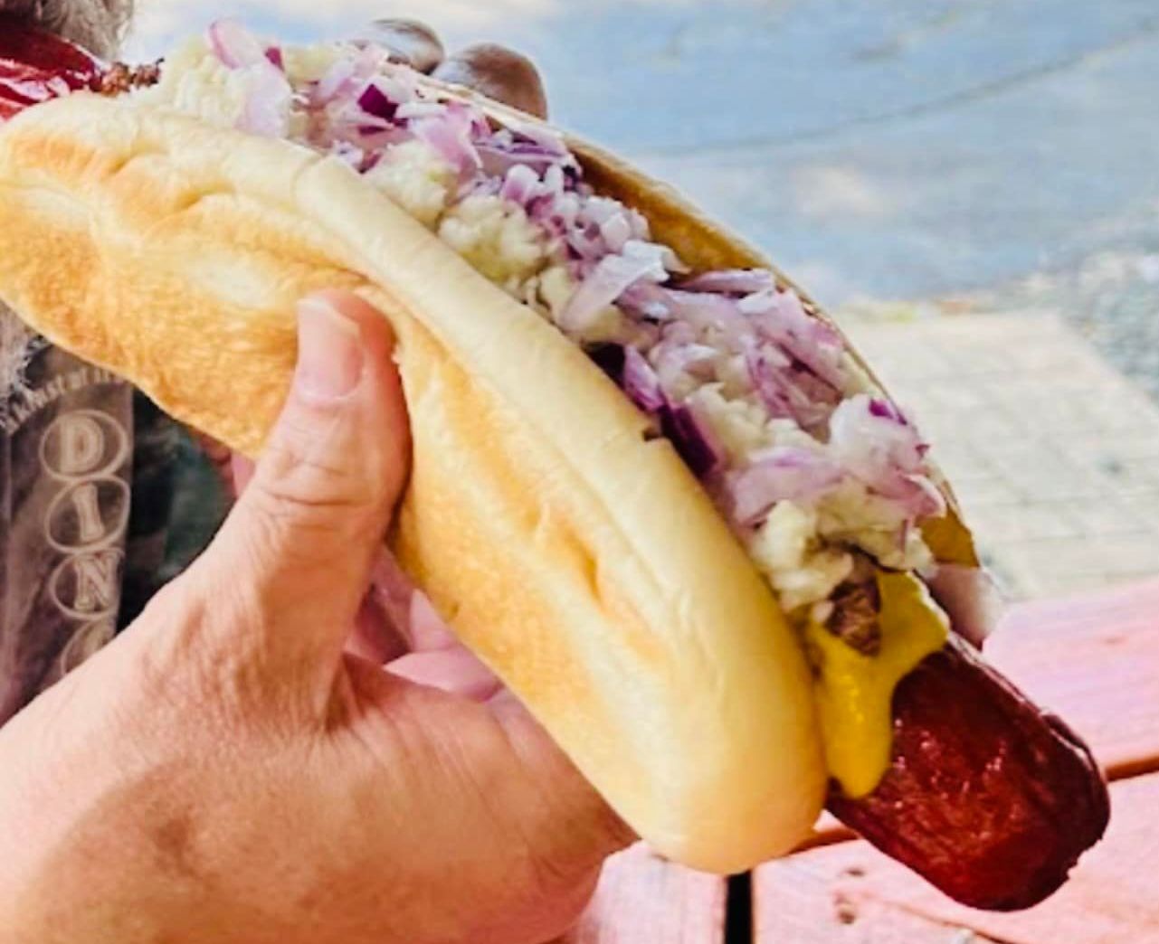 A person is holding a hot dog with onions and mustard