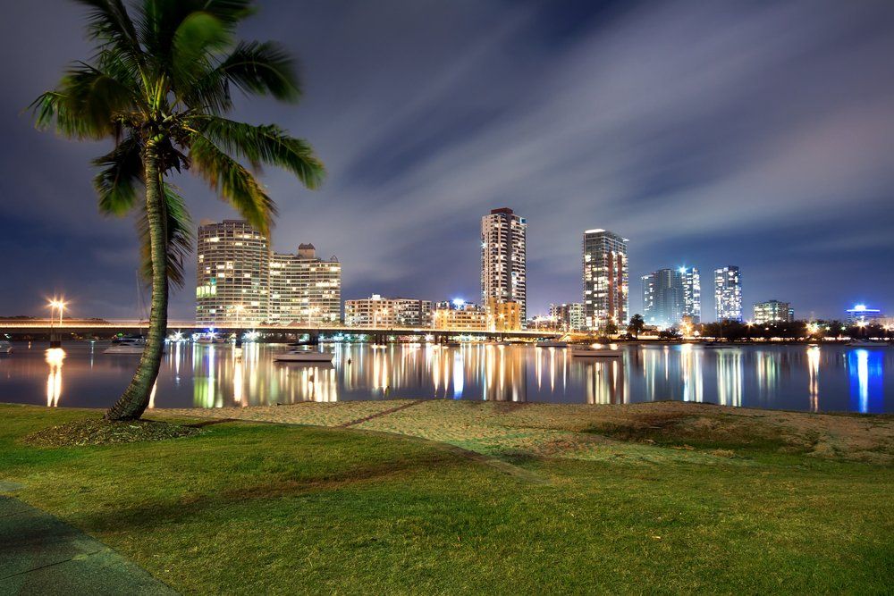 Southport at Night with Palm in Foreground — Quench Juice Bar in Fortitude Valley, QLD