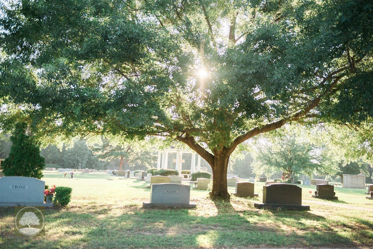 The sun is shining through the trees in a cemetery.
