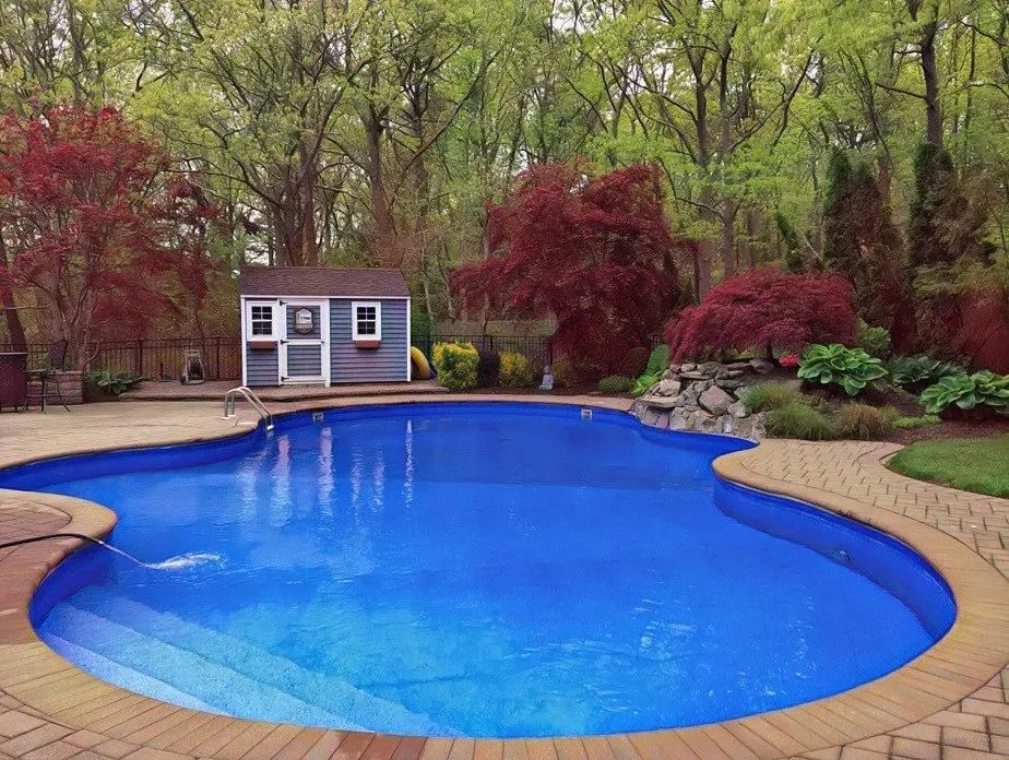 A large blue swimming pool in a backyard with a shed in the background.
