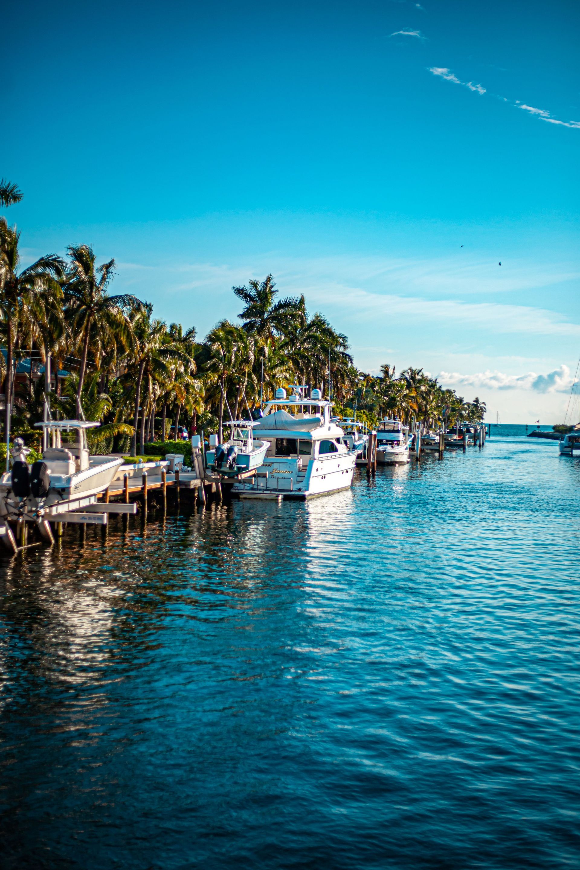 Sunlit marina with palm trees, blue water, and docked boats under a clear sky