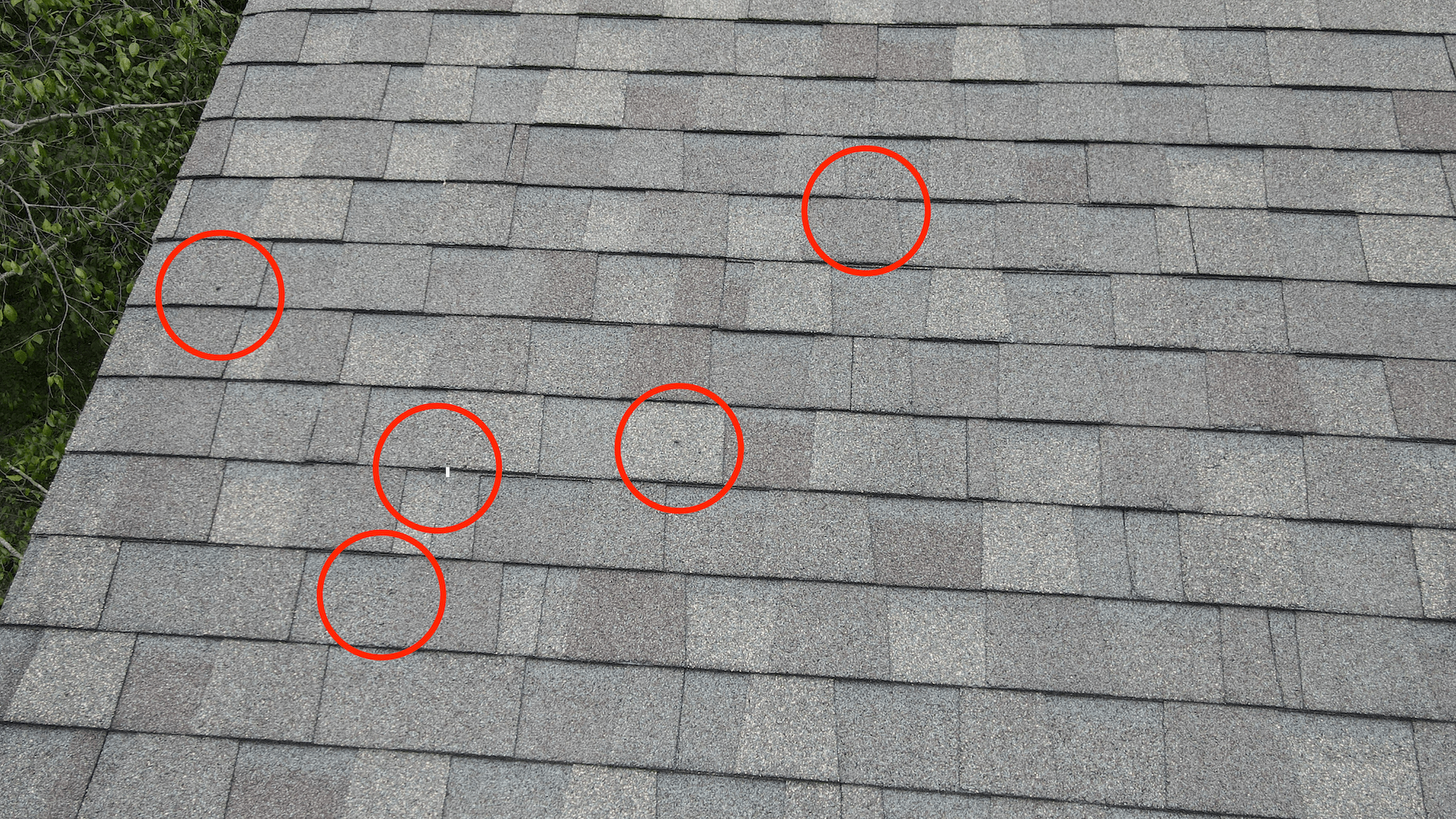 Image of a Moseley VA 23120 roof damaged by hail, with circle graphics around the damaged spots.