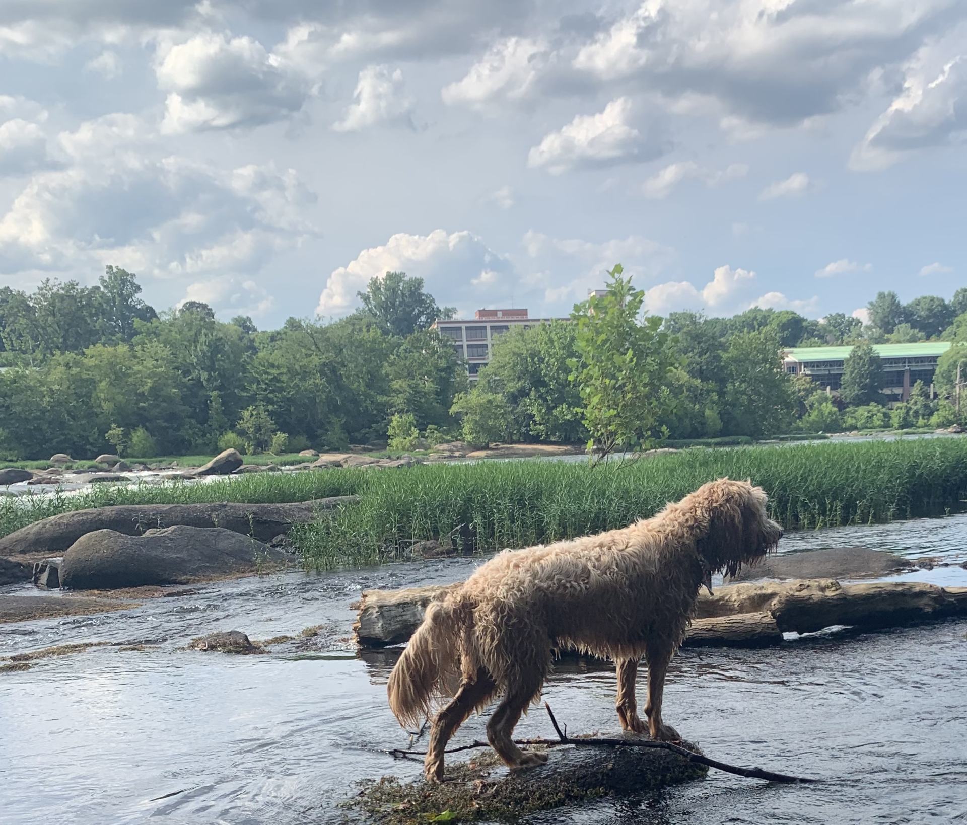 Image of RETEX's Albus Lewis exploring the James River. Photo captured by RETEX's Katelyn Lewis.