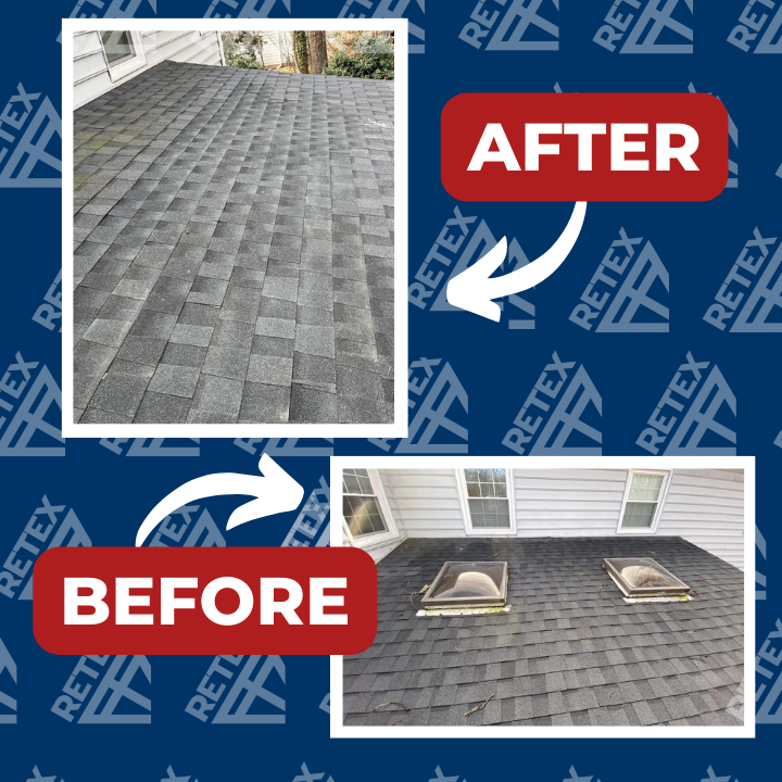shingle roof