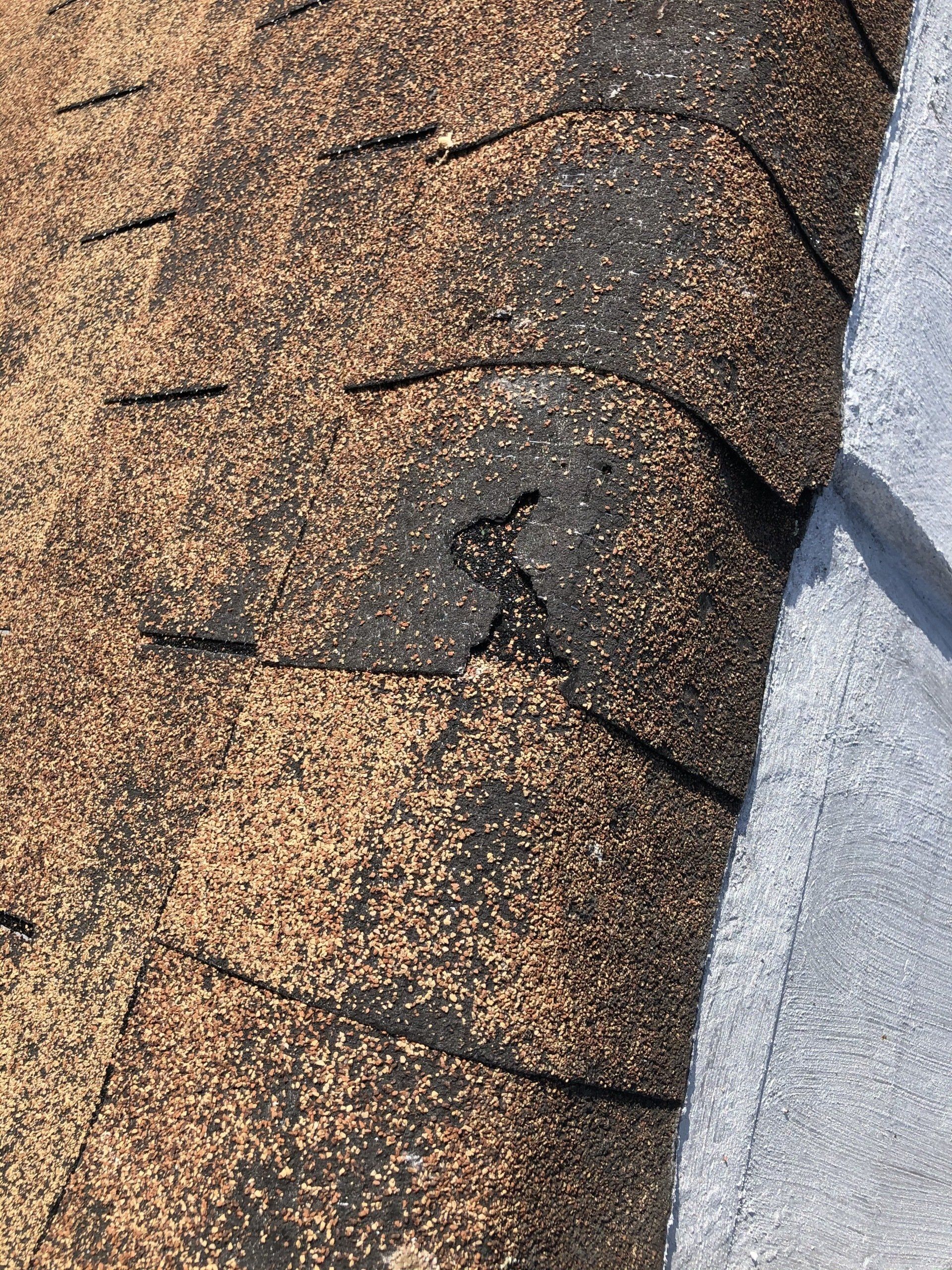 Close-up image of damaged asphalt shingles on residential roof in Richmond, VA.