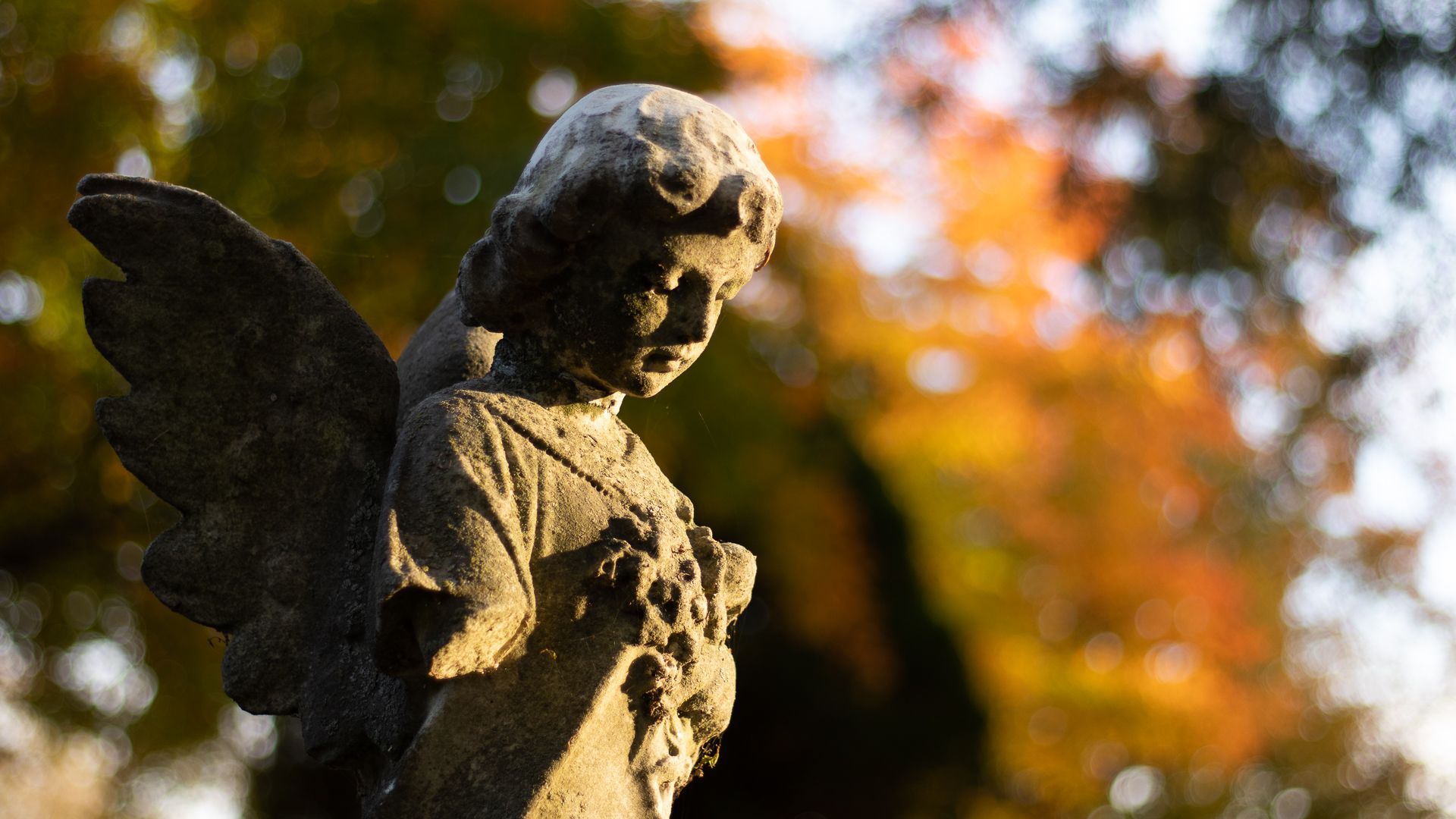 Image of angel tombstone in the Hollywood Cemetery. Photo by RETEX's Katelyn Lewis.