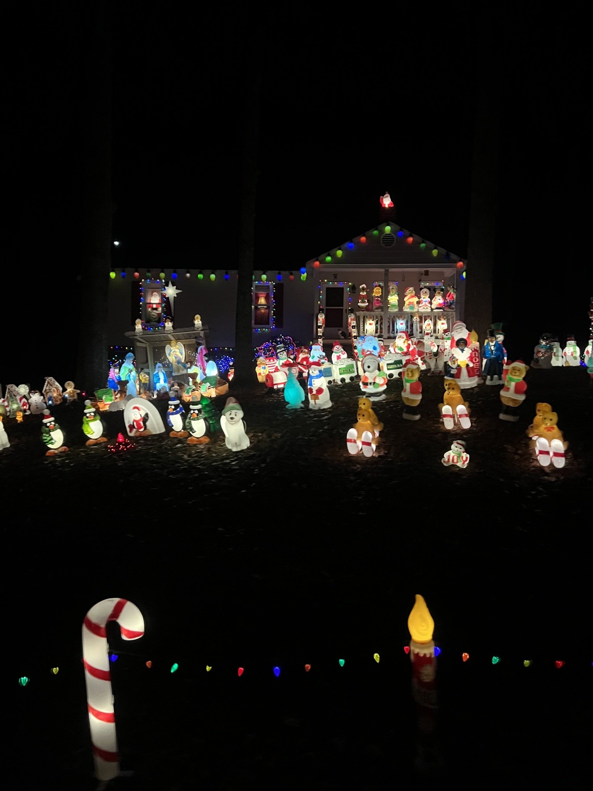 Image of local holiday lights from Walton Park neighborhood of Midlothian VA 23112. Photo by RETEX's Katelyn Lewis.